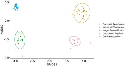 Microbial dark matter sequences verification in amplicon sequencing and environmental metagenomics data